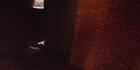 شقه للبيع بعين شمس |دليل العقارات المصرية المصور يحتوي على مجموعه من الشقق المصورة بمحافظة القاهرة بمنطقة عين شمس 
