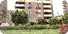 فيلات مدينة نصر | فيلات القاهرة | دليل العقارات المصرية المصور يحتوي على مجموعه من الفيلات المصورة بمحافظة القاهرة بمنطقة مدينة نصر تشطيب فاخر و بدون تشطيب مواقع سكنية هادئة و إدارية و تجارية نشطة راقية و فاخرة تصلح لجميع الأغراض السكنية و التجارية و الإدارية ة الاستثمارية علي شوارع رئيسية عريضة و هادئة و شوارع تجارية عريضة و نشطة تجاريا و شوارع جانبية بمختلف المساحات و التشطيبات بحديقة خاصة و فيلات بحمامات سباحة خاصة فيلات للايجار مفروشة و فيلات للبيع و فيلات للتمليك و فيلات تشطيب فاخر وفيلات تشطيب دوبلكس و فيلات تشطيب عادي و فيلات بدون تشطيب داخل سوق تبادل العقارات المصري رسالة خبراء التسويق . 